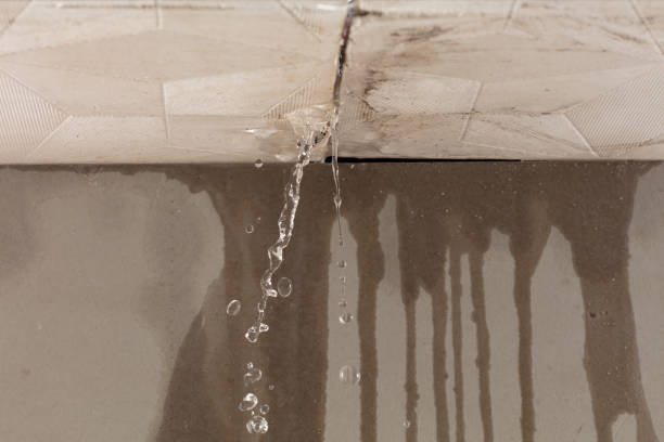 Professional Water Damage Repair technician working in Columbia, IL